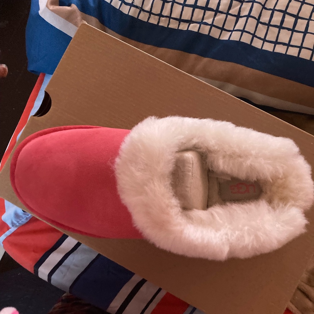 Uggs brand new